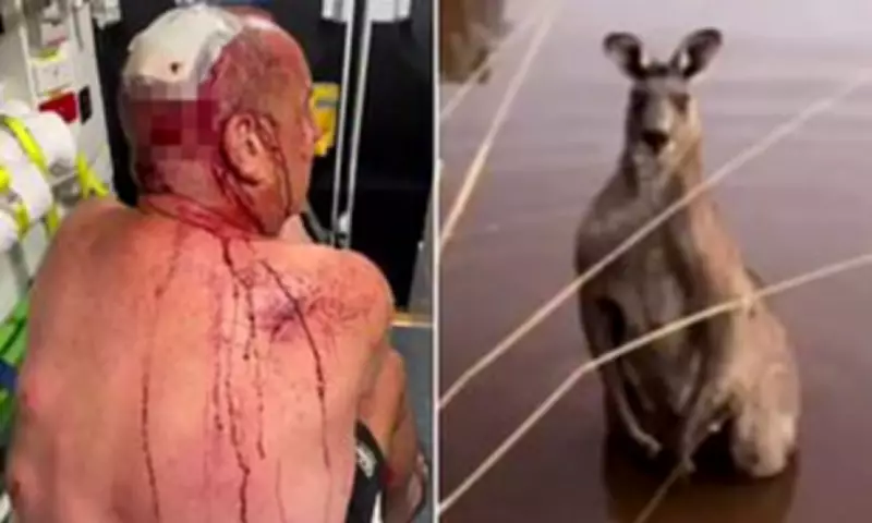 Retiree Survives Vicious Kangaroo Mauling While Rescuing Dog in Victoria
