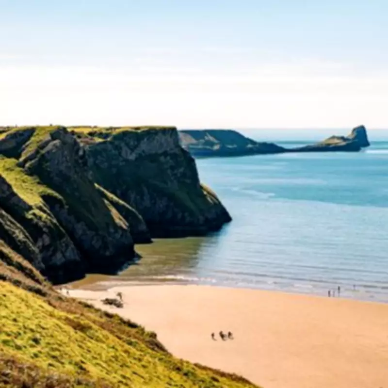 Rhossili Bay Crowned UK's Best Beach by TripAdvisor, Earning High Praise