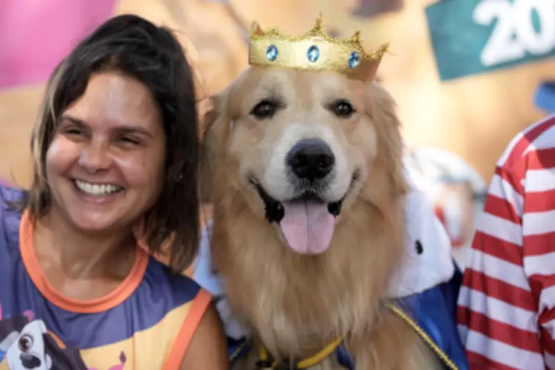 Rio Carnival's Canine Street Party: Dogs Parade as Owners Protest Pet Cruelty