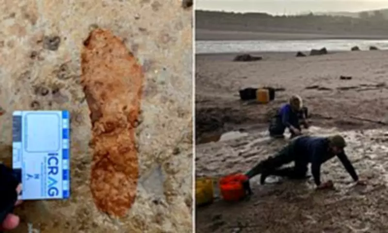 Roman Era Footprints Uncovered on Scottish Beach Before Being Destroyed by Sea