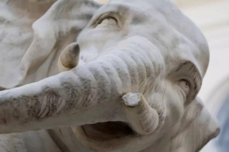 Rome's Bernini Elephant Loses Tusk Tip Again, Police Investigate Vandalism