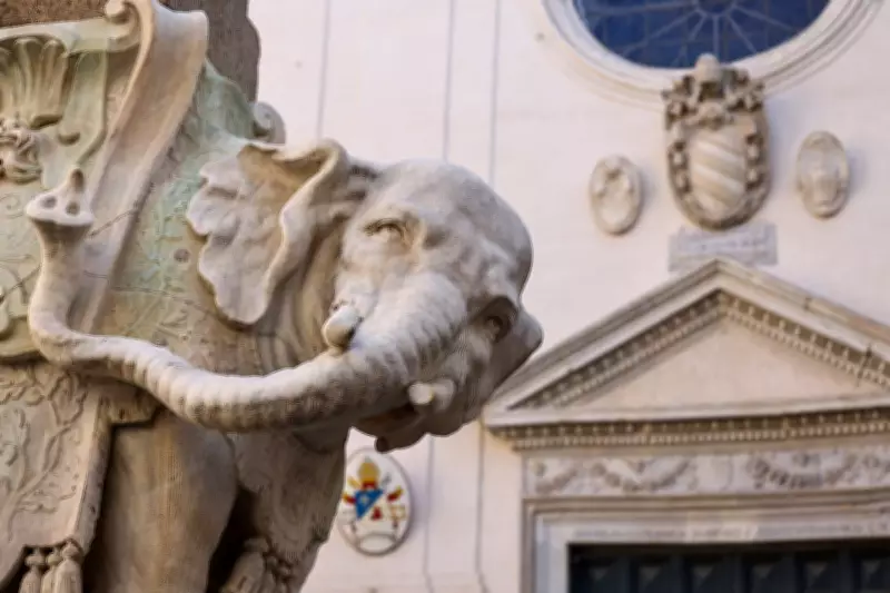 Rome's Bernini Elephant Statue Damaged as Police Investigate Broken Tusk