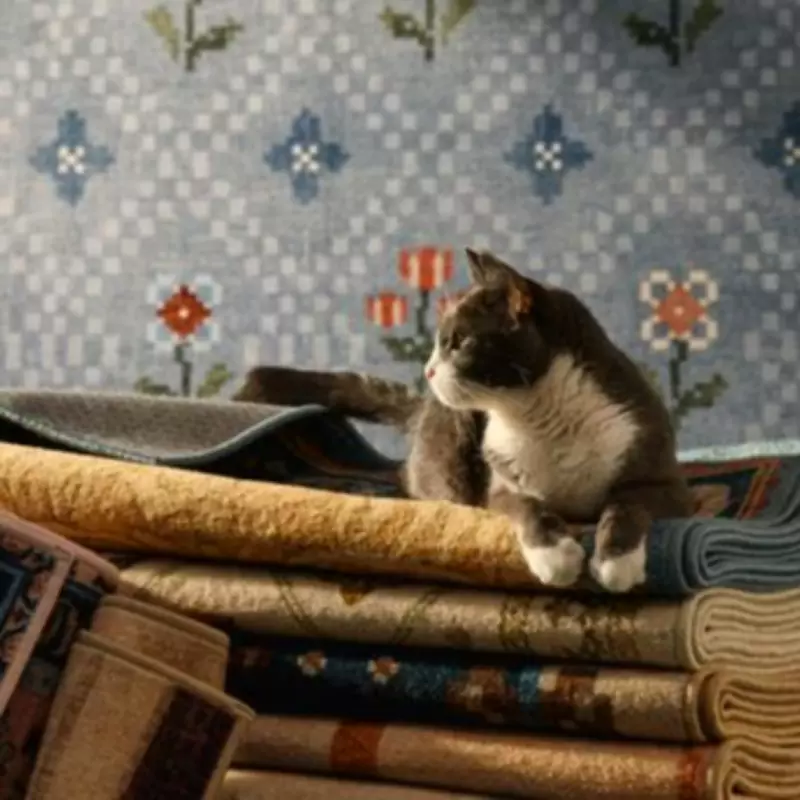 Ruggable and Anthropologie Launch Gorgeous Washable Rug Collection