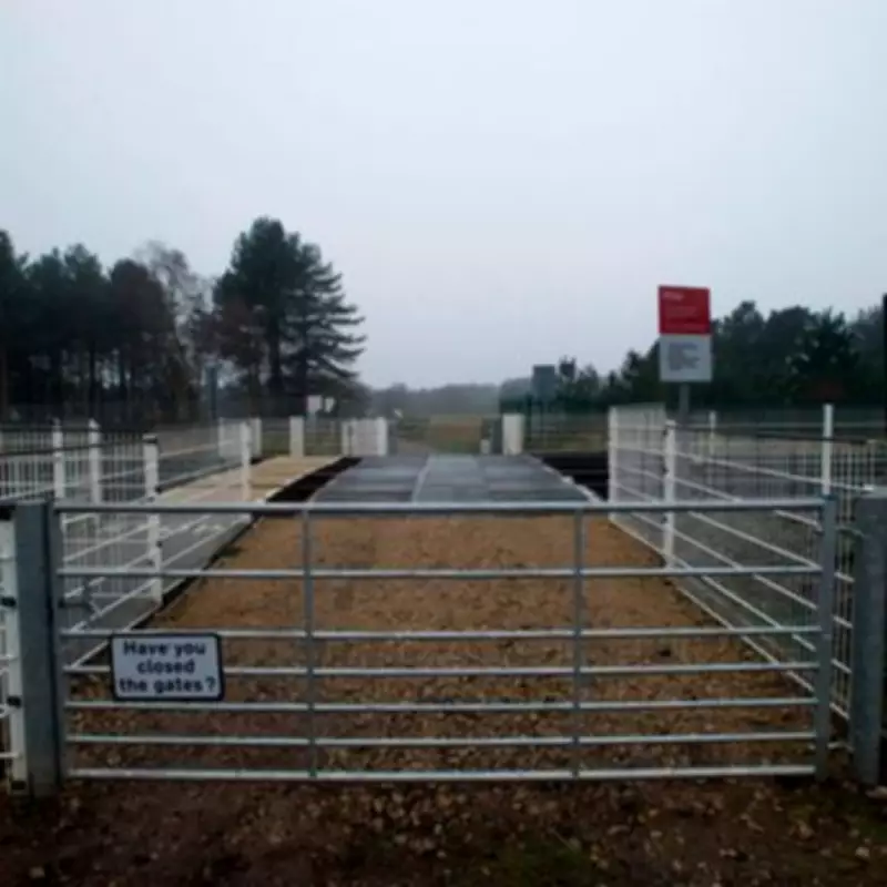 Runner Killed by Train as Phone Warning Displayed Loud Music Alert