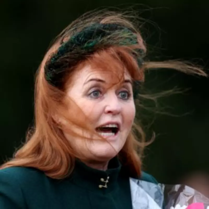 Sarah Ferguson's 10-Word Vow Amid Epstein Fallout: 'I Need to Get Back to Work'