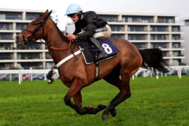 Saturday Racing Tips: Expert Picks for Kelso and Newbury Meets