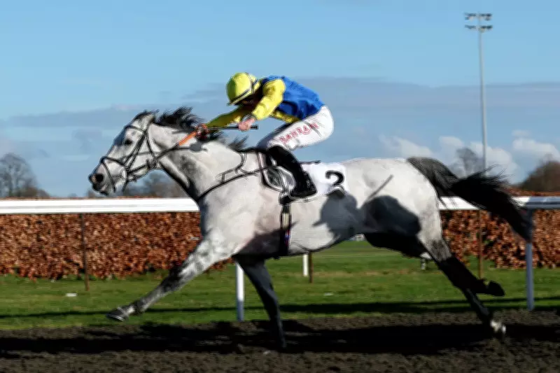 Saturday Racing Tips: Expert Picks for Kempton and Fairyhouse Meetings