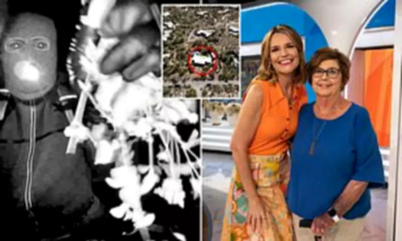 Savannah Guthrie's Mother Kidnapped: Timeline of a National Nightmare