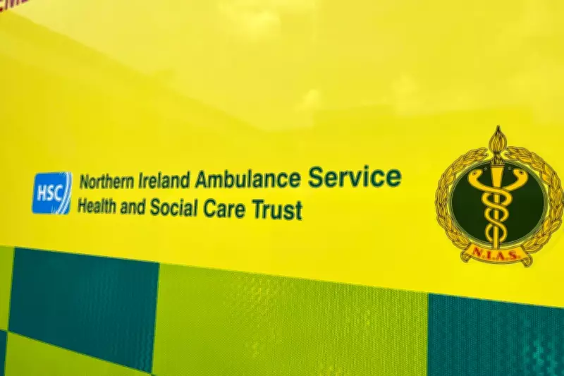 School Bus Crash in Northern Ireland: Children Safe After Belleeks Collision