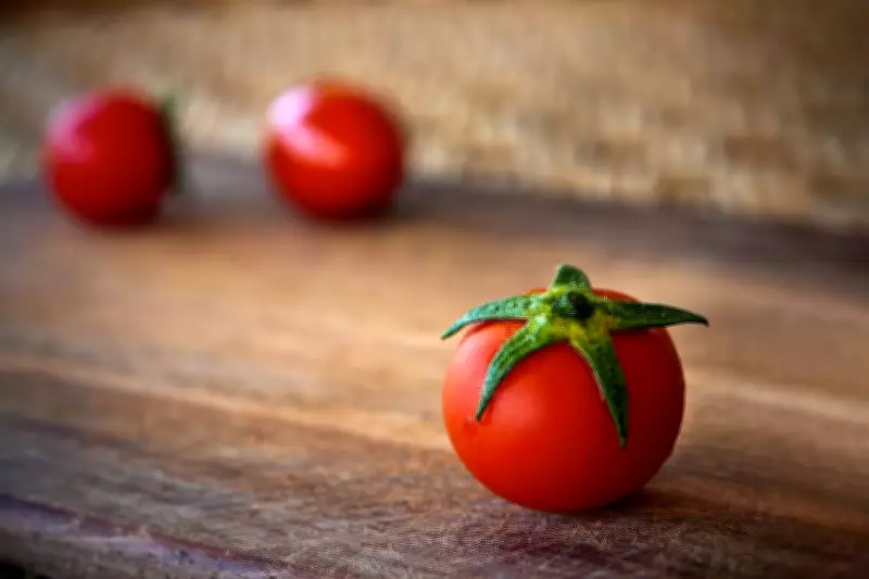 Scientists Develop World's First Tomatoes with Buttered Popcorn Aroma via Gene Editing