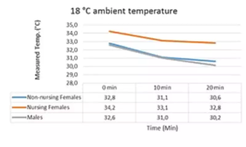 Scientists Discover Why Human Women Have Permanent Breast Tissue