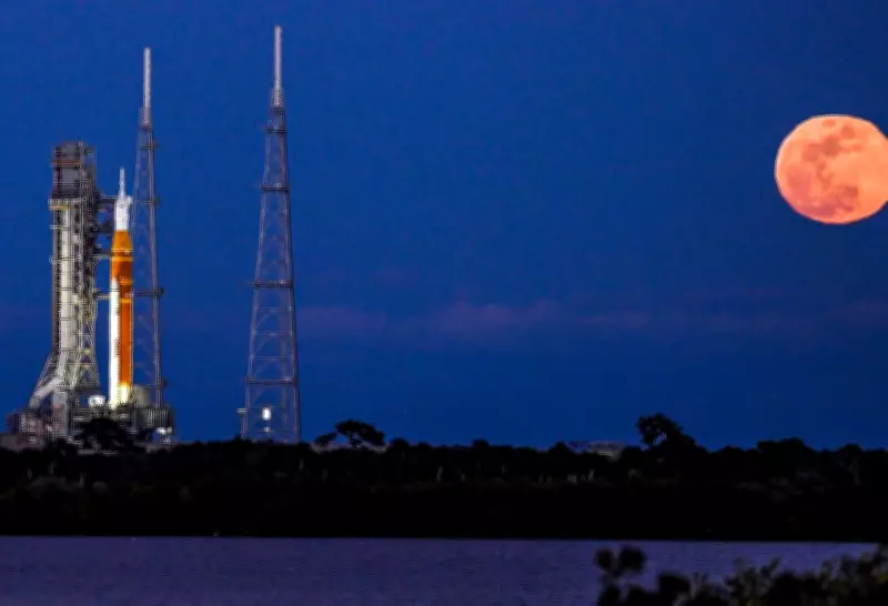 Scientists Urge Immediate Research on Human Reproduction in Space