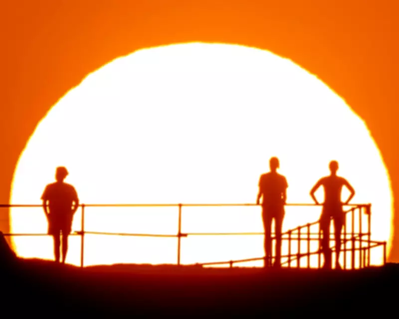 Scientists Warn of Imminent 'Hothouse Earth' Climate Catastrophe