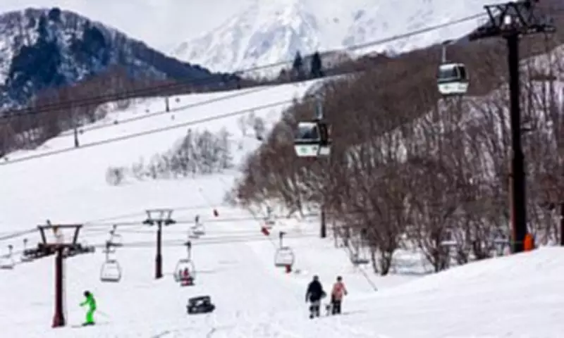 Second Australian Ski Death in Japan as Avalanche Claims Young Man's Life