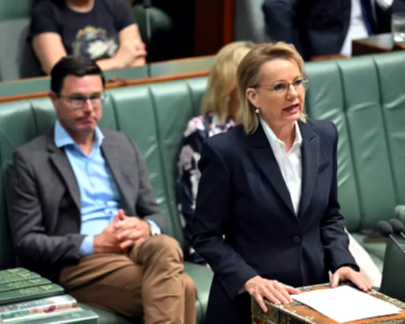Senior Liberals Rally Behind Sussan Ley Amid Leadership Speculation