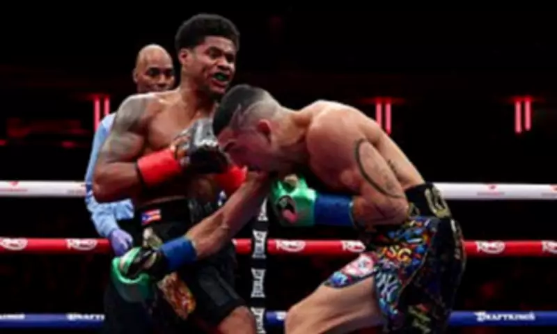 Shakur Stevenson Dominates Teofimo Lopez in Stunningly One-Sided New York Bout