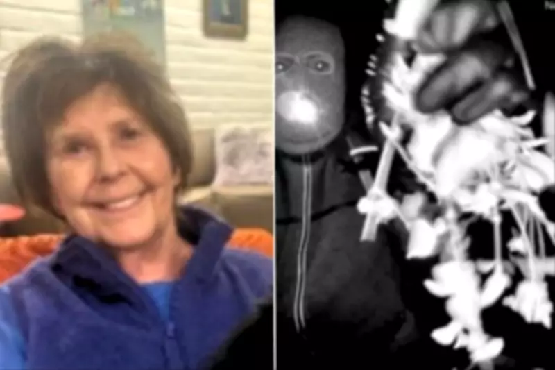 Sheriff Rejects Botched Burglary Theory in Nancy Guthrie Abduction Case