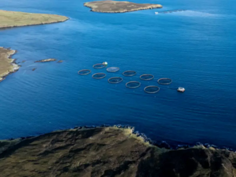 Shetland's Largest Salmon Farm Approved Amid Environmental and Livelihood Fears