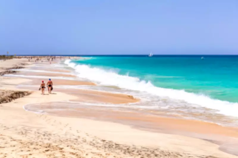 Shigella Outbreak in Cape Verde: Four British Holidaymakers Die, UKHSA Investigates