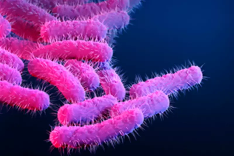 Shigella Outbreak in Cape Verde: UK Health Alert for Travellers