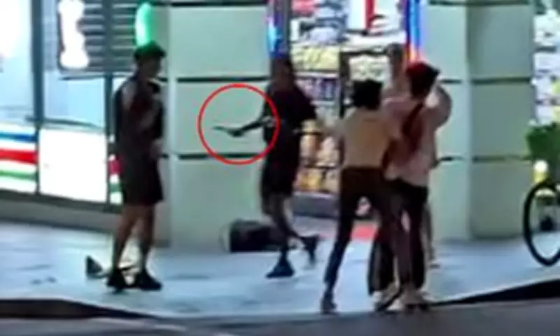 Shocking Hammer Attack on Korean Men in Sydney CBD Caught on Video