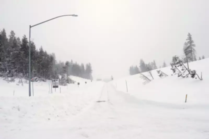 Snow Drought Created Deadly Avalanche Conditions in California's Sierra Nevada