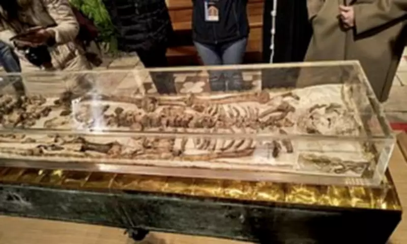 St Francis of Assisi's Bones Displayed After 800-Year Saga in Historic Exhibition