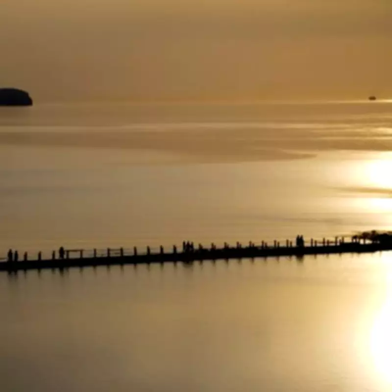 Steep Holm Island: Bristol Channel's Hidden Gem of History and Wildlife