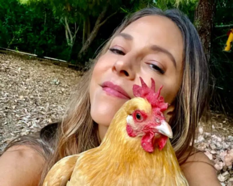 Stevie the Chicken: The Unforgettable Pet Who Joined a Dog Pack