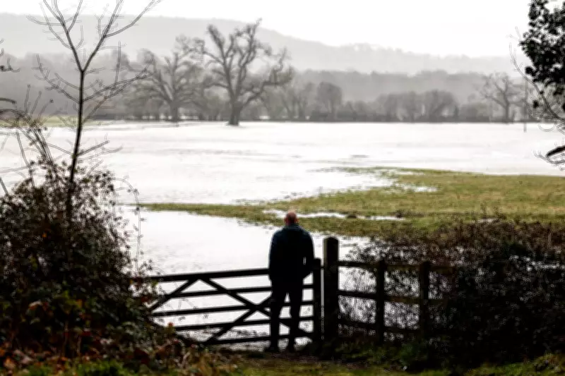 Storm Aftermath: UK Floods Threaten Wildlife While Nature Offers Solutions