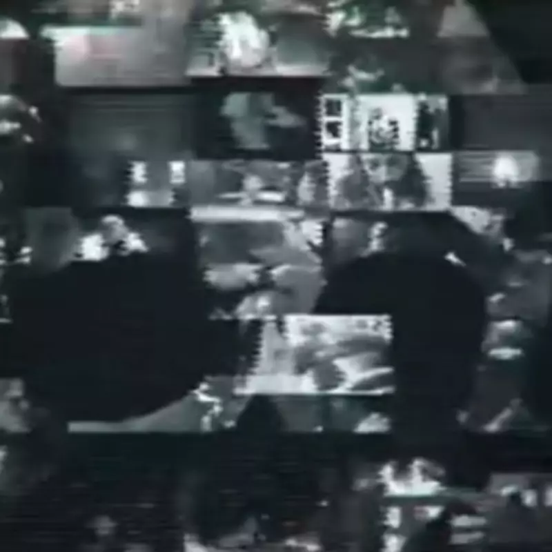 Stranger Things Star Joins Remake of 'Most Controversial Film of All Time'