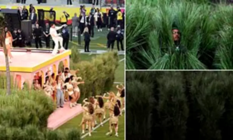Super Bowl Grass Bunnies Reveal Hidden Meaning Behind Viral Halftime Costumes
