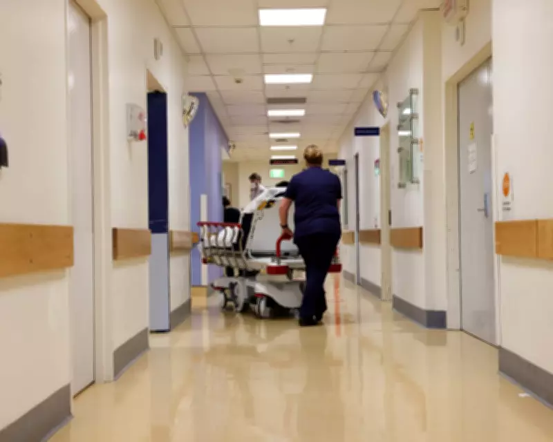 Surgeon Once Banned from Complex Operations Appointed to Queensland Safety Role