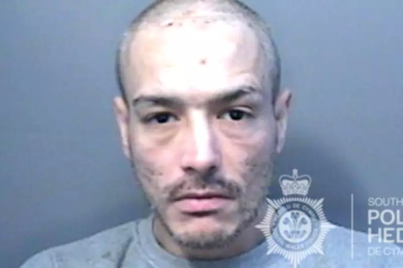 Swansea Man Receives Life Sentence for Murder of Older Brother