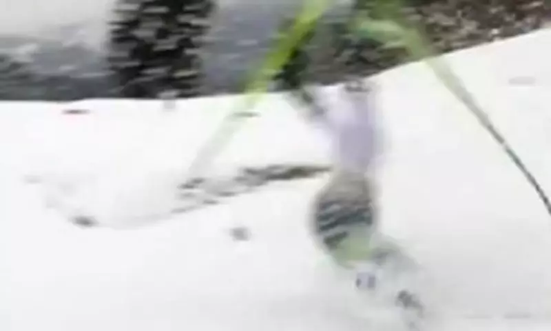 Swedish Skier's Olympic Nightmare: Broken Ski Dashes Gold Hopes