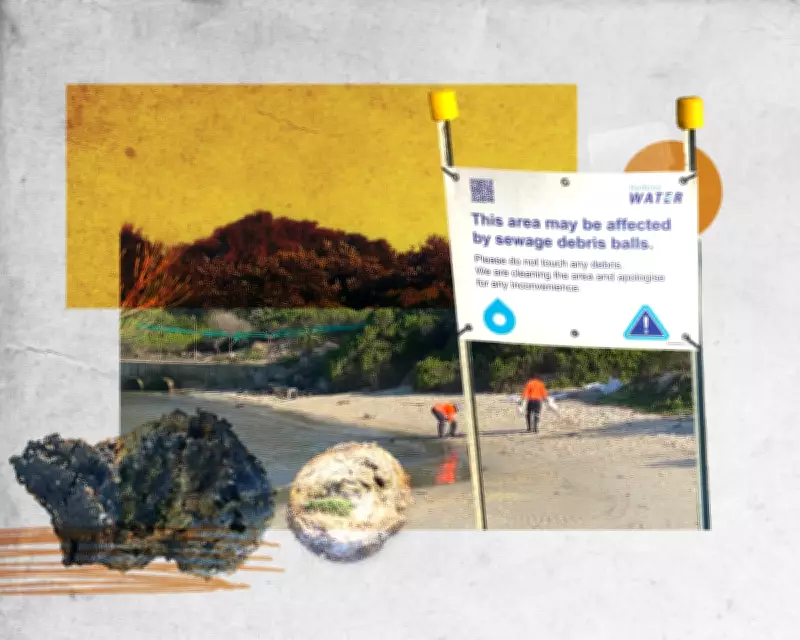 Sydney Water Ordered to Remove Fatberg After Beach Closures