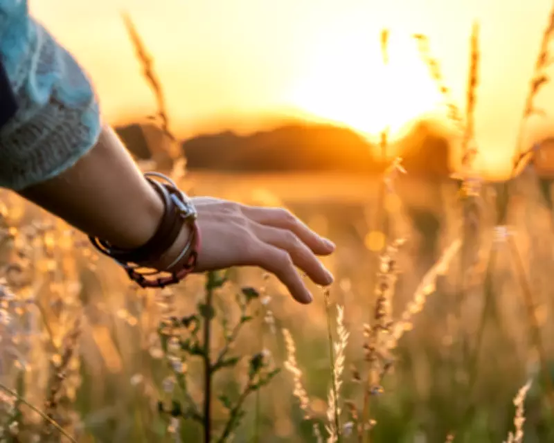 Teaching Children to Rest: A Vital Lesson in a Productivity-Driven World