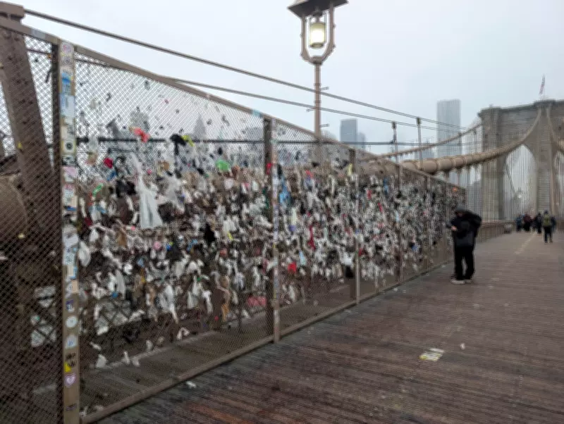 Tech Worker's Crusade: Cleaning Condoms and Socks Off Brooklyn Bridge