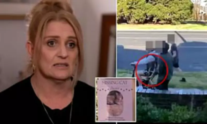 Teen Charged After Elderly Cat Abducted in Goulburn, Two Others Cautioned