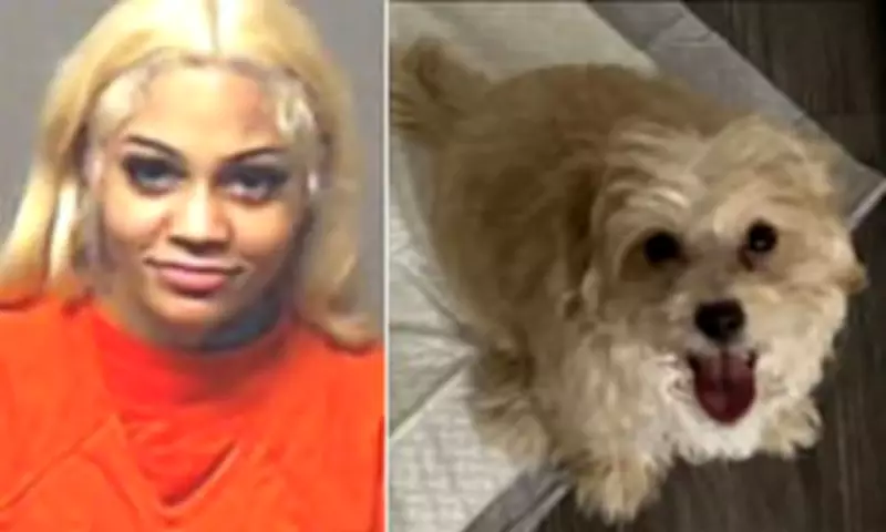 Teen Rapper Aspen Easterling Arrested for Alleged Puppy Abuse on Twitch Stream