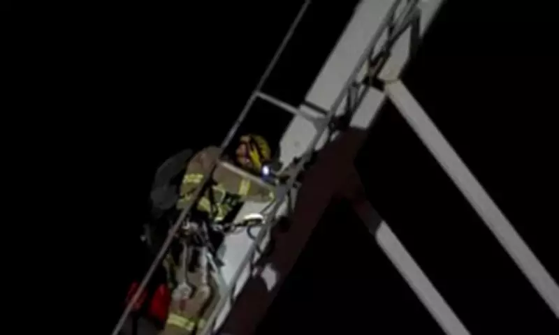 Teenager Rescued After Crane Climb for Social Media Photos in Melbourne