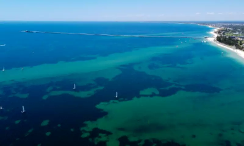 Teen's 'Superhuman' 4km Swim Saves Family from Perilous Sea Drift