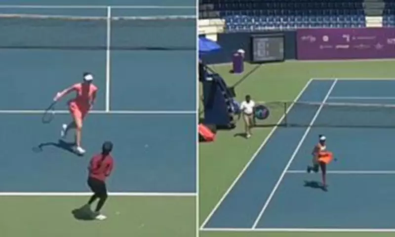 Tennis Match Halted as Swarm of Bees Invades Court in Bengaluru