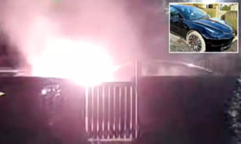 Tesla Owner's Dream Car Explodes in Flames While Parked on Somerset Road