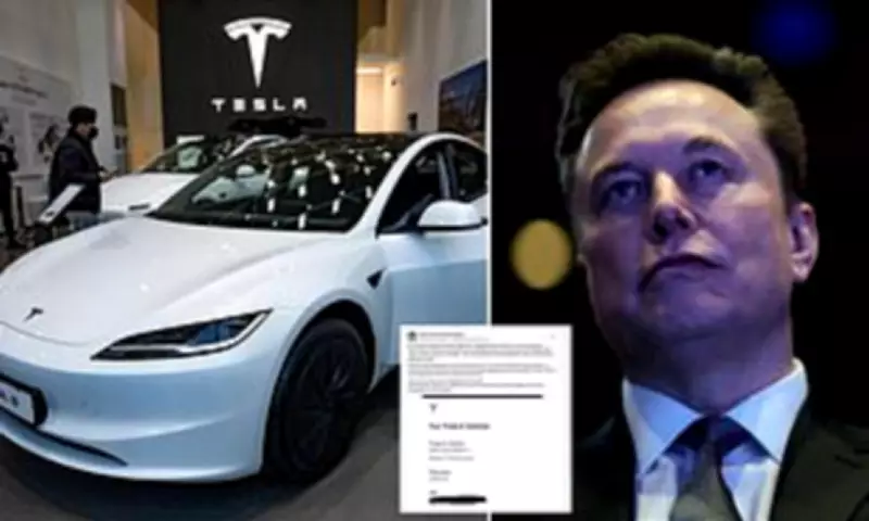 Tesla Owner's Shock as New Model 3 Loses $37,000 in Value in Just 12 Weeks