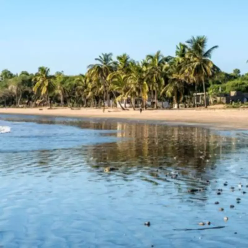 The Gambia: Africa's 'Smiling Coast' Offers 34C March Heat and Direct UK Flights