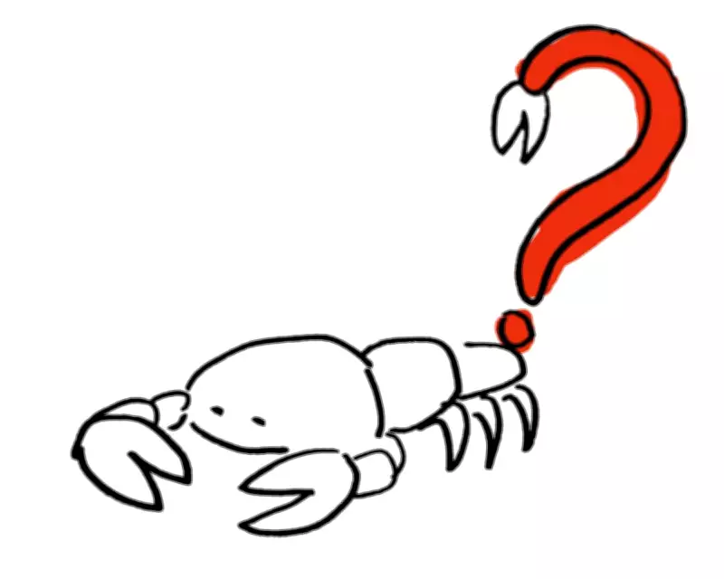 The Guardian's Thursday Quiz Tests General Knowledge and Topical News Trivia