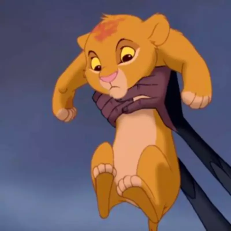 The Lion King's Circle of Life Lyrics Meaning Sparks Debate