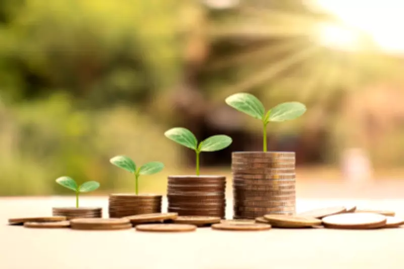 The Overlooked IF ISA: Boosting Returns While Investing Ethically