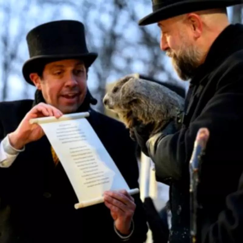 The Surprising European Origins of Groundhog Day Revealed